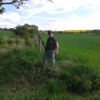 Norovn 8.5.2015