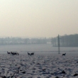 nor 2012