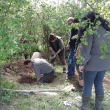 Norovn 8.5.2015