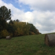 Sokolnci 2017
