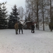 Hon 26.12.2010