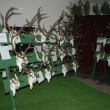 Pehldka trofej