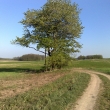 stromky 24.4.09