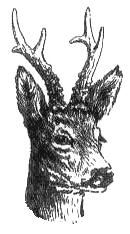 MS esterk Bl jezd