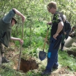 Norovn 8.5.2015