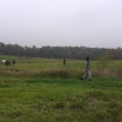 Sokolnci 10.10.2014
