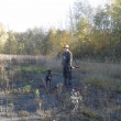 Hon 19.10.2013